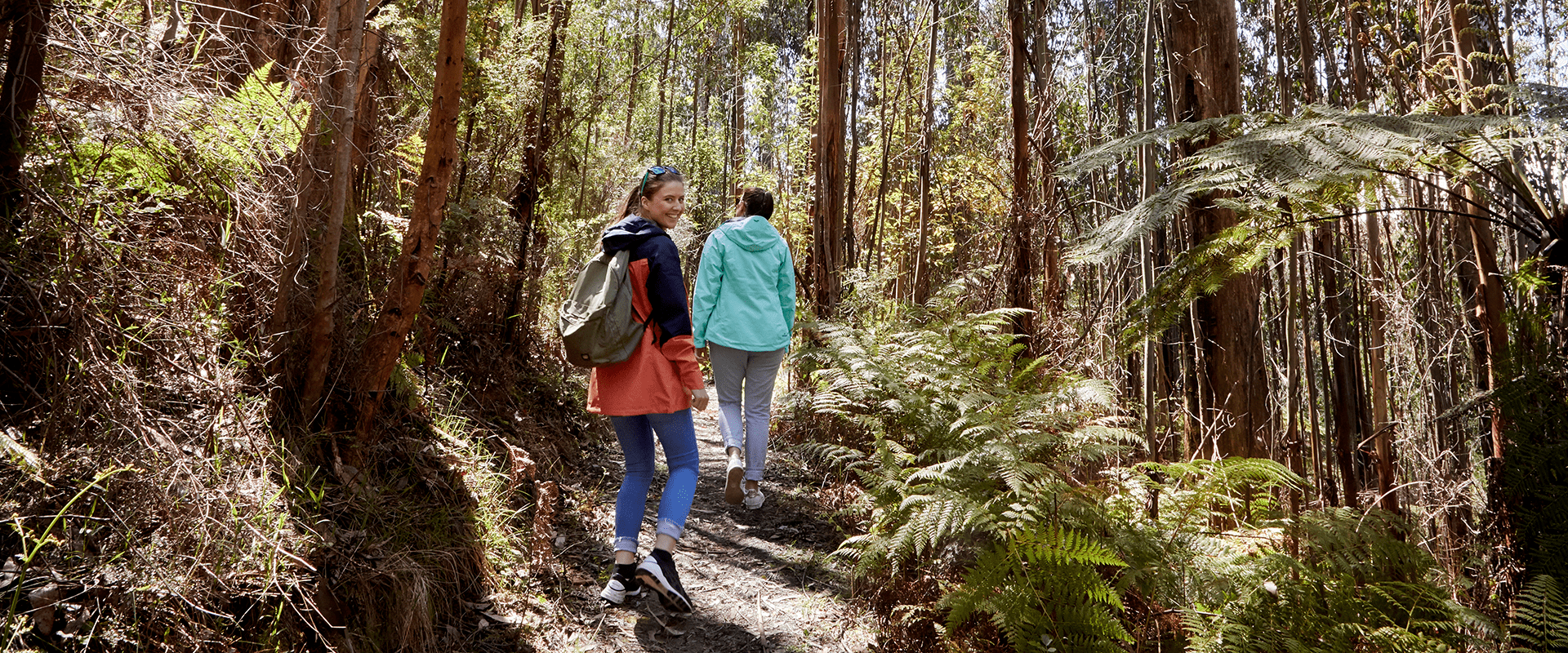 Two female hikers make there way up a path surrounded by lush dense native vegetation and tall trees.
