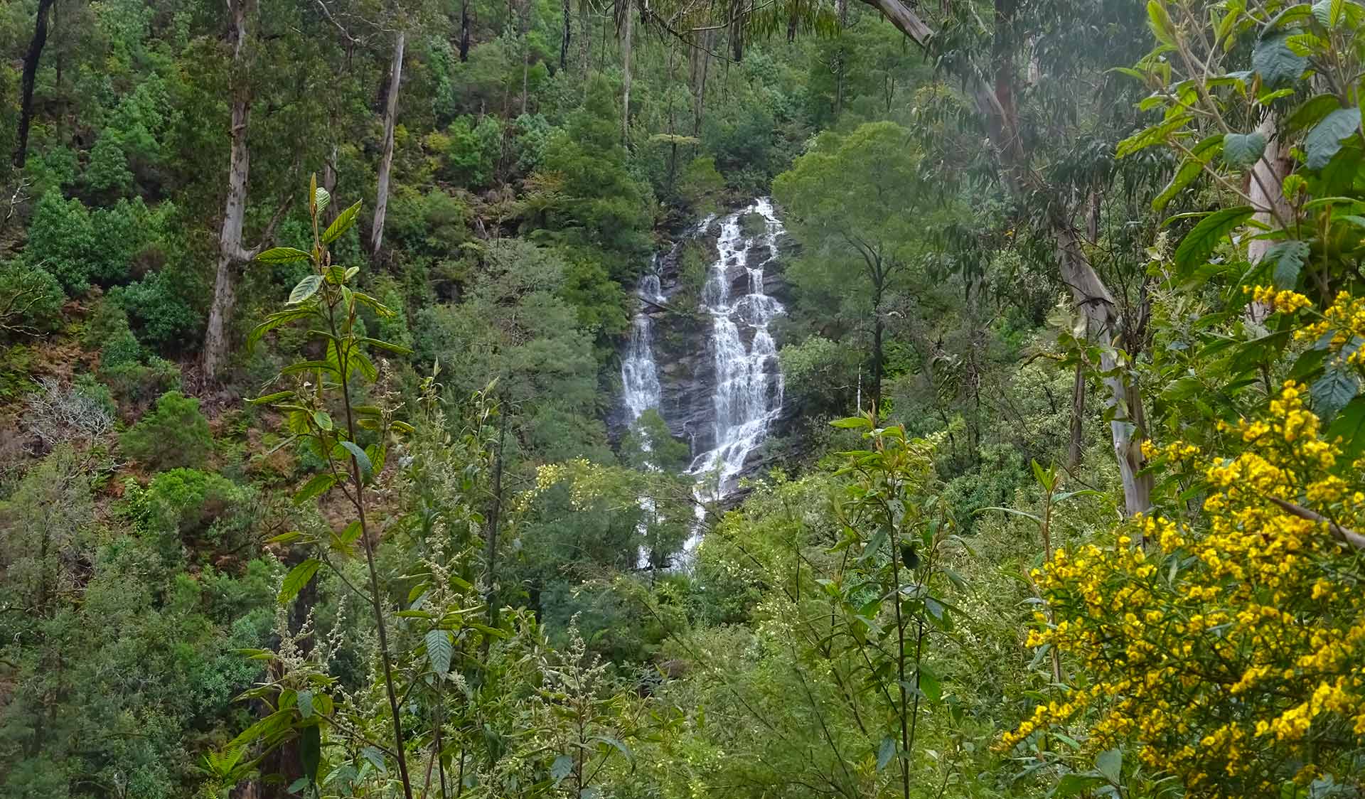Wombelano Falls in the Kinglake National Park
