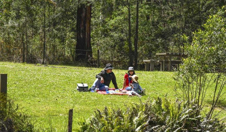 Family picnicking on the grass with trees in the background