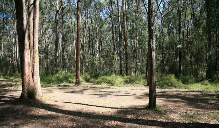 Kurth Kiln Regional Park