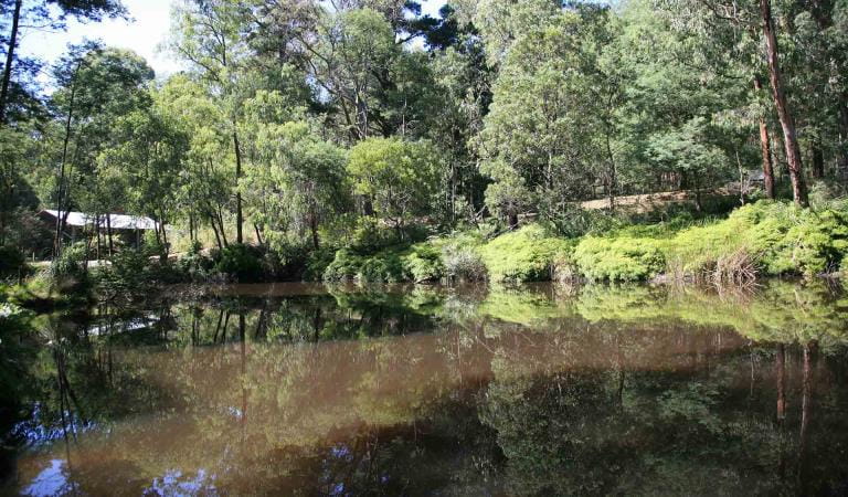 Kurth Kiln Regional Park