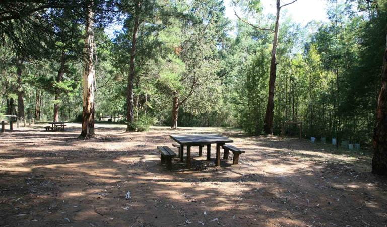 Kurth Kiln Regional Park