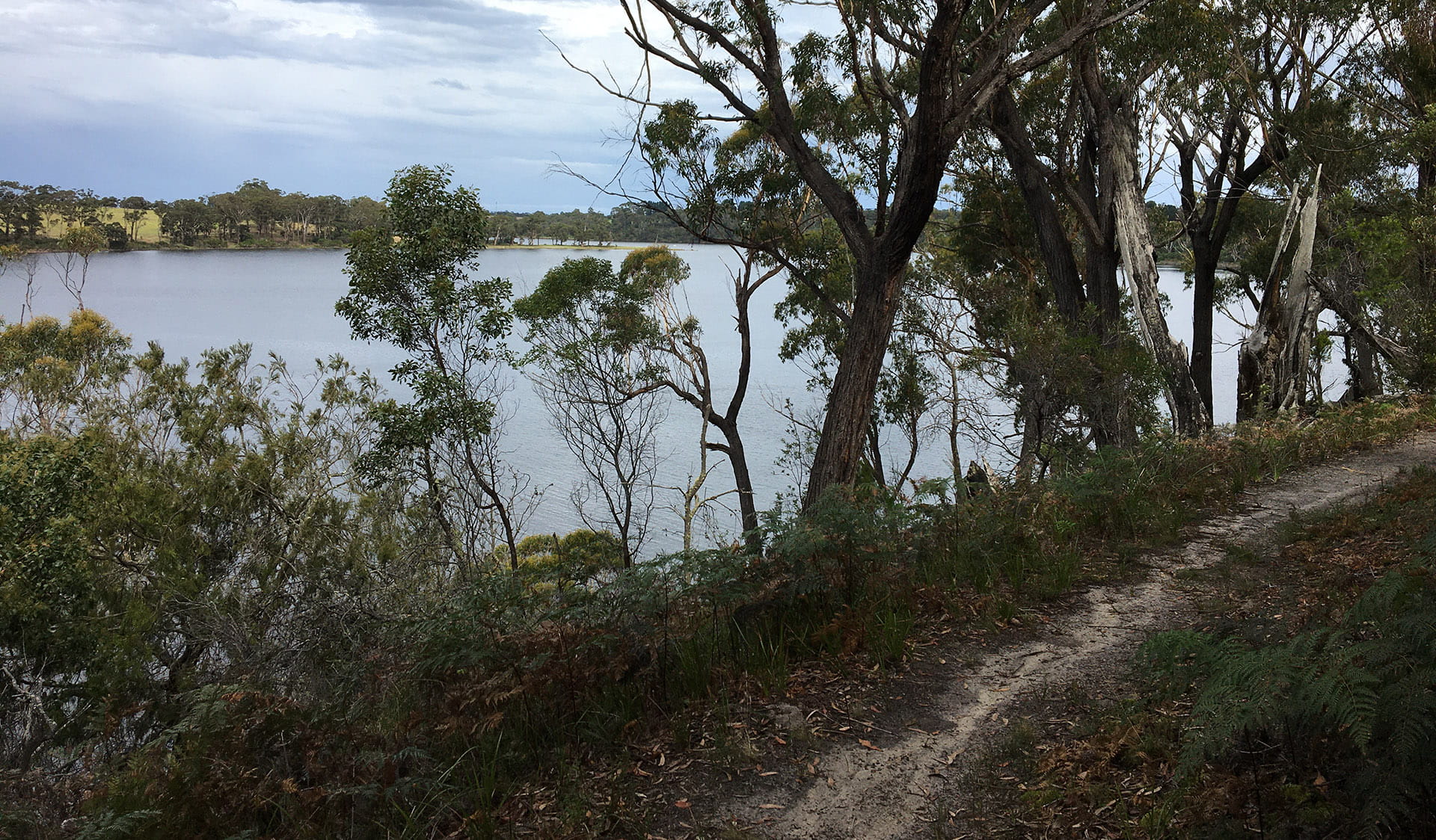 Lake Tyers State Park