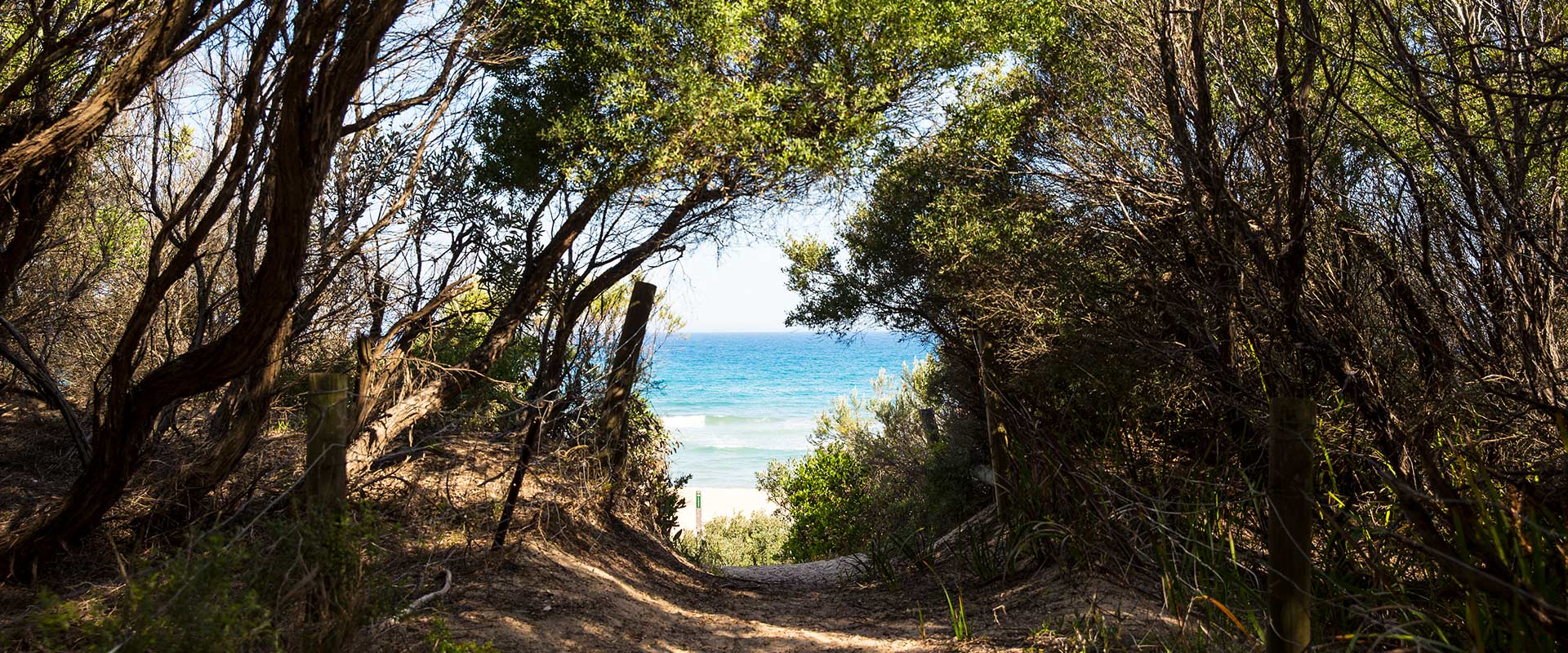 A narrow path leads through coastal shrubs down to an ocean beach