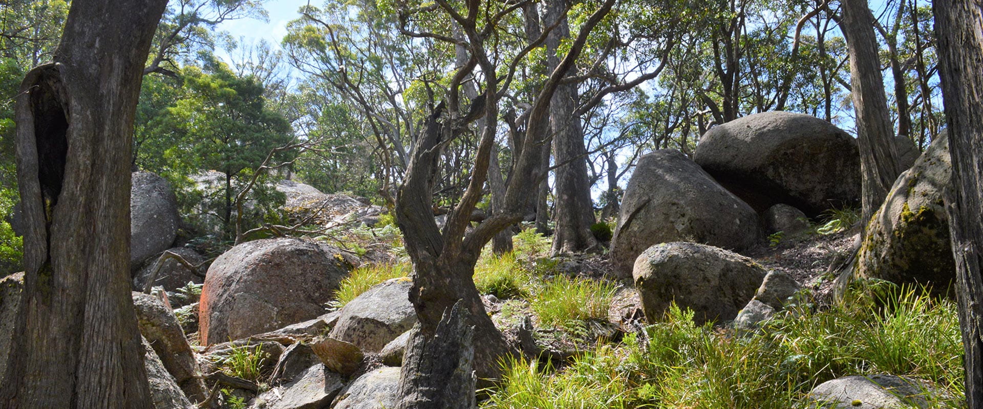A rugged bushland with large boulders and trees