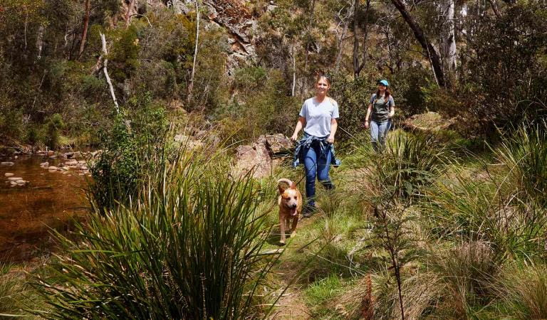 Two women walk an Australian Cattle Dog alongside a rocky creek.