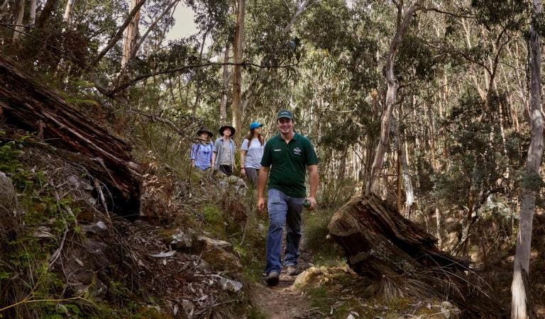 A volunteer tour guide leads a group through Lerderderg State Park.