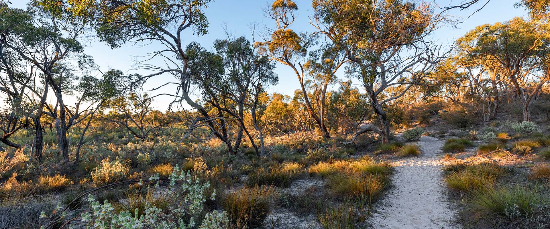 A sandy track through a beautiful rugged landscape. 