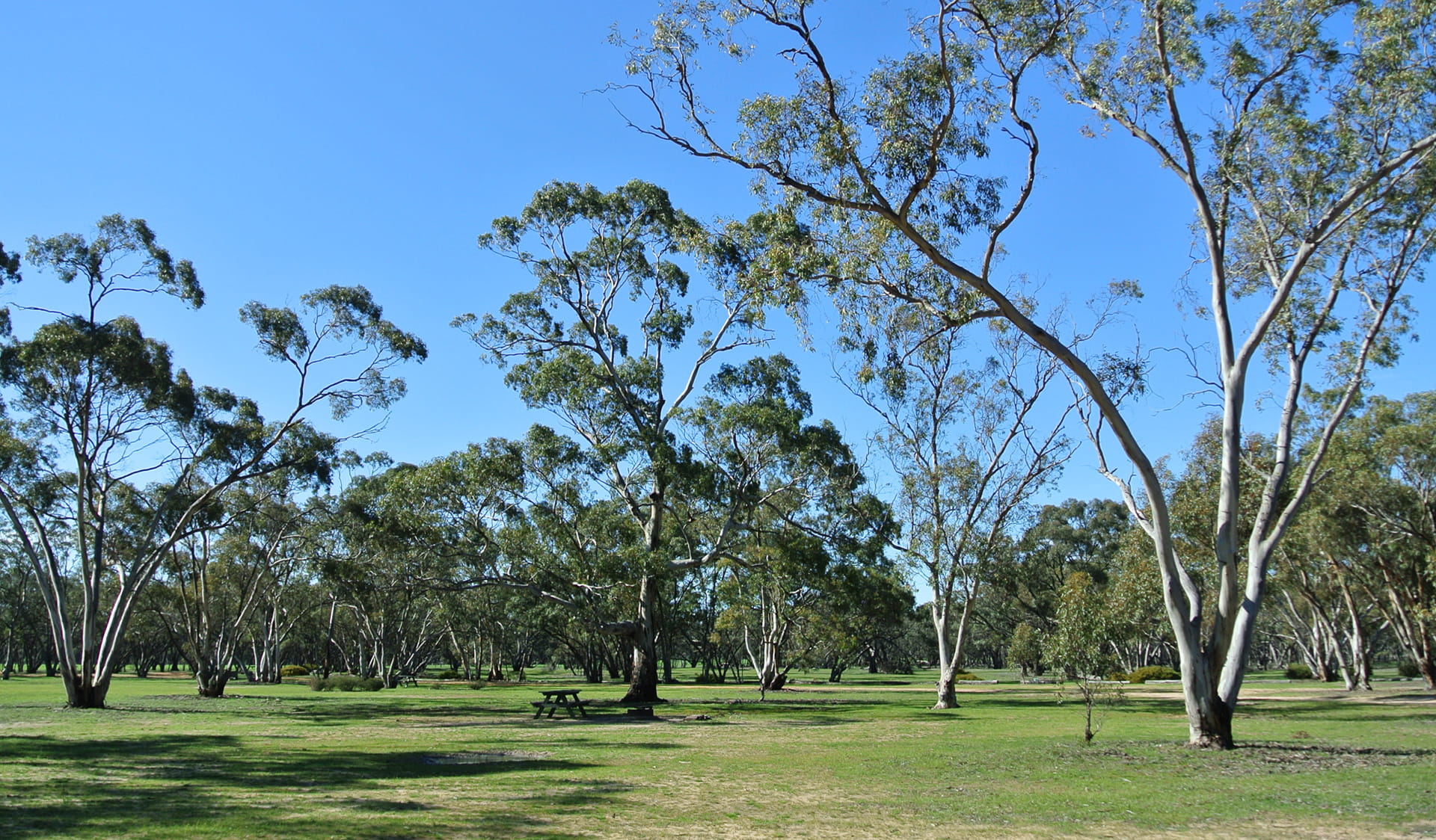 Kiata Campground at Little Desert National Park