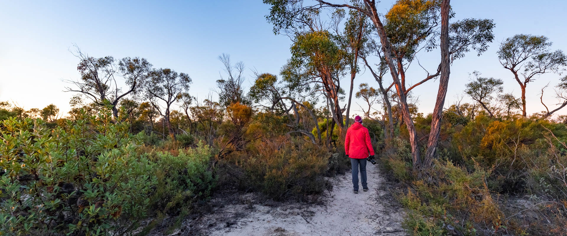 A person walks on a sandy dirt track in a rugged landscape. Soft orange sunrise light. 
