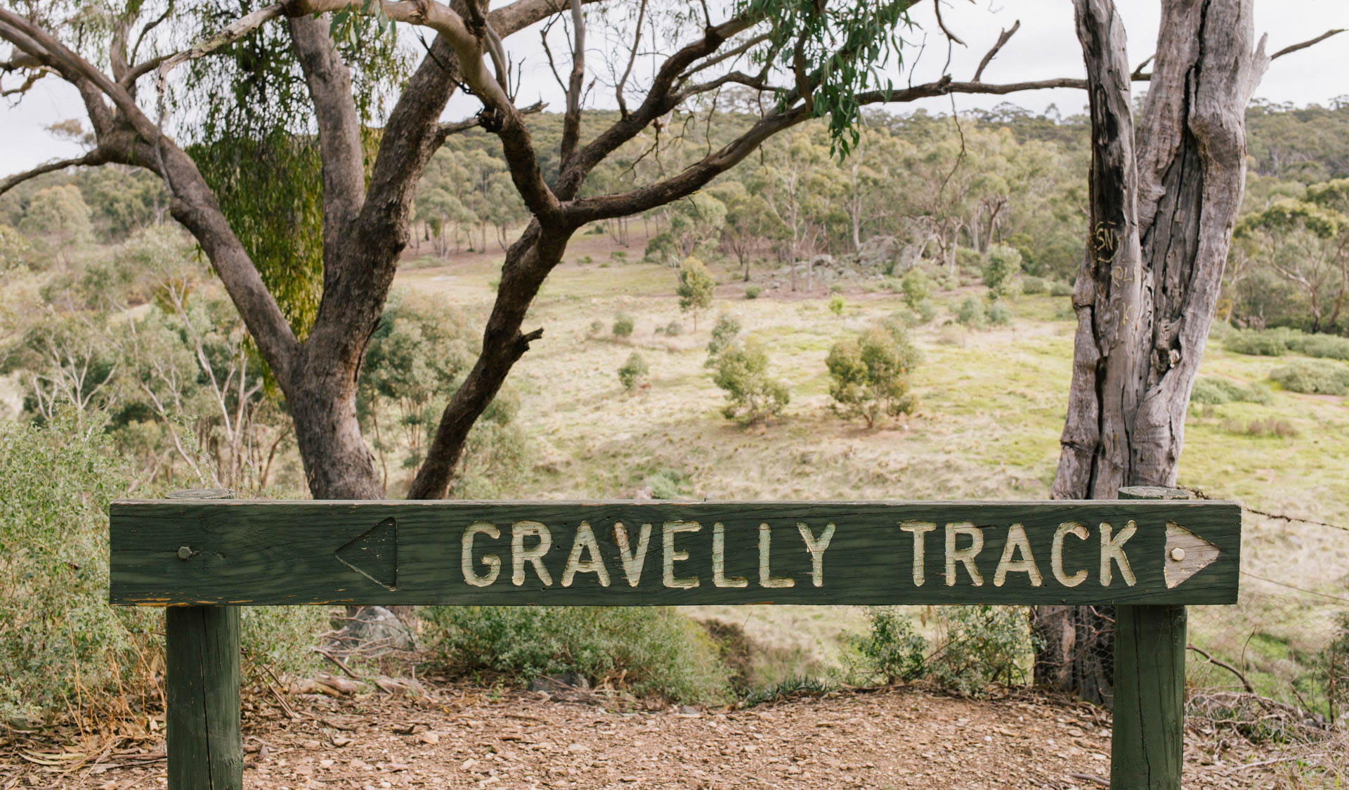 A forested area. In the foreground a green wooden sign that reads: Gravelly Track.