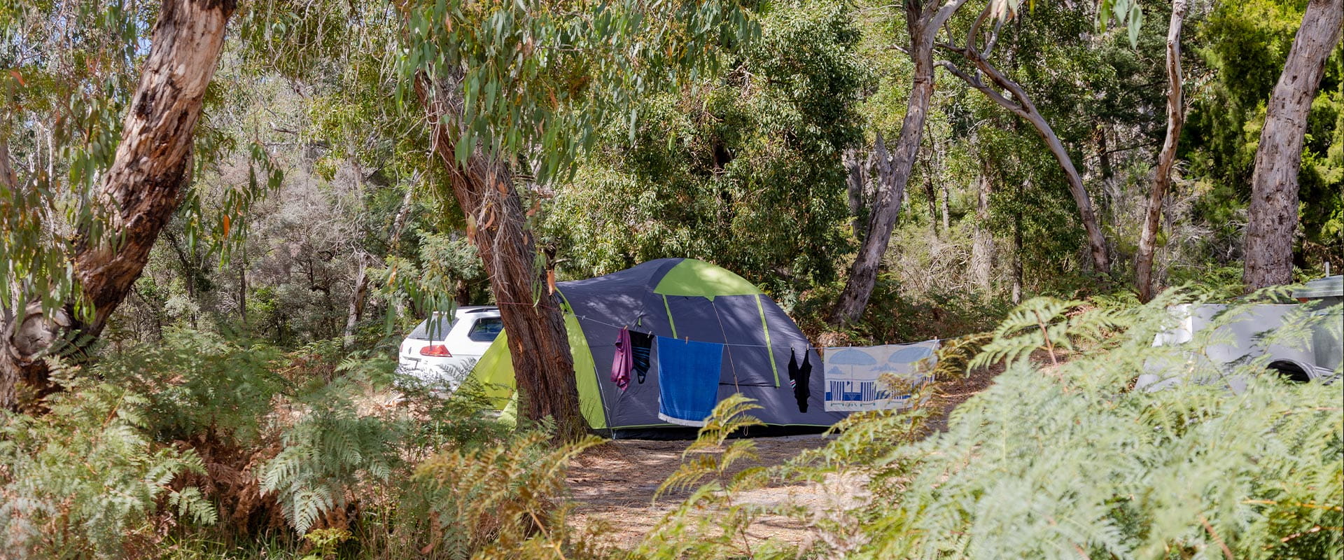 Bathers and swimming suits hang from a clothes line in front of a green and grey tent