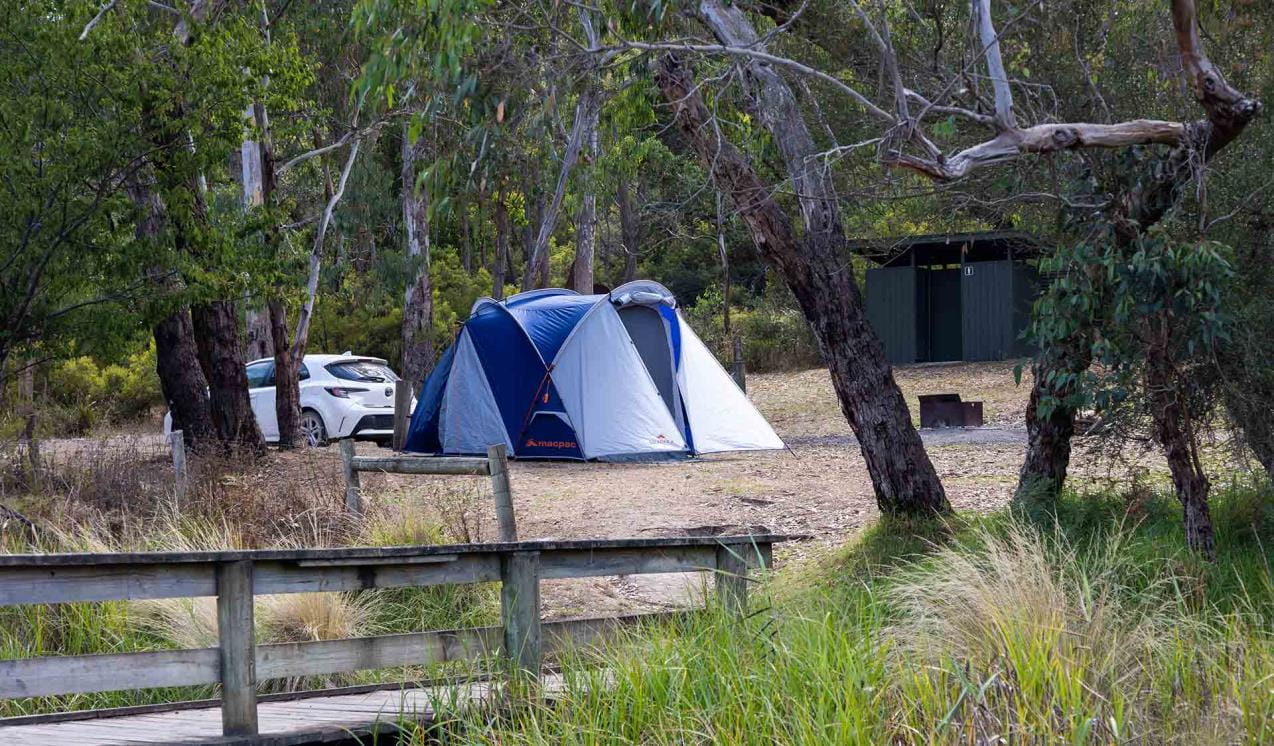 A tent next to a small white car at Hutchessons Campground at Lower Glenelg National Park