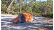 An orange tent in a sandy clearing at Wild Dog Bend Campground at Lower Glenelg National Park
