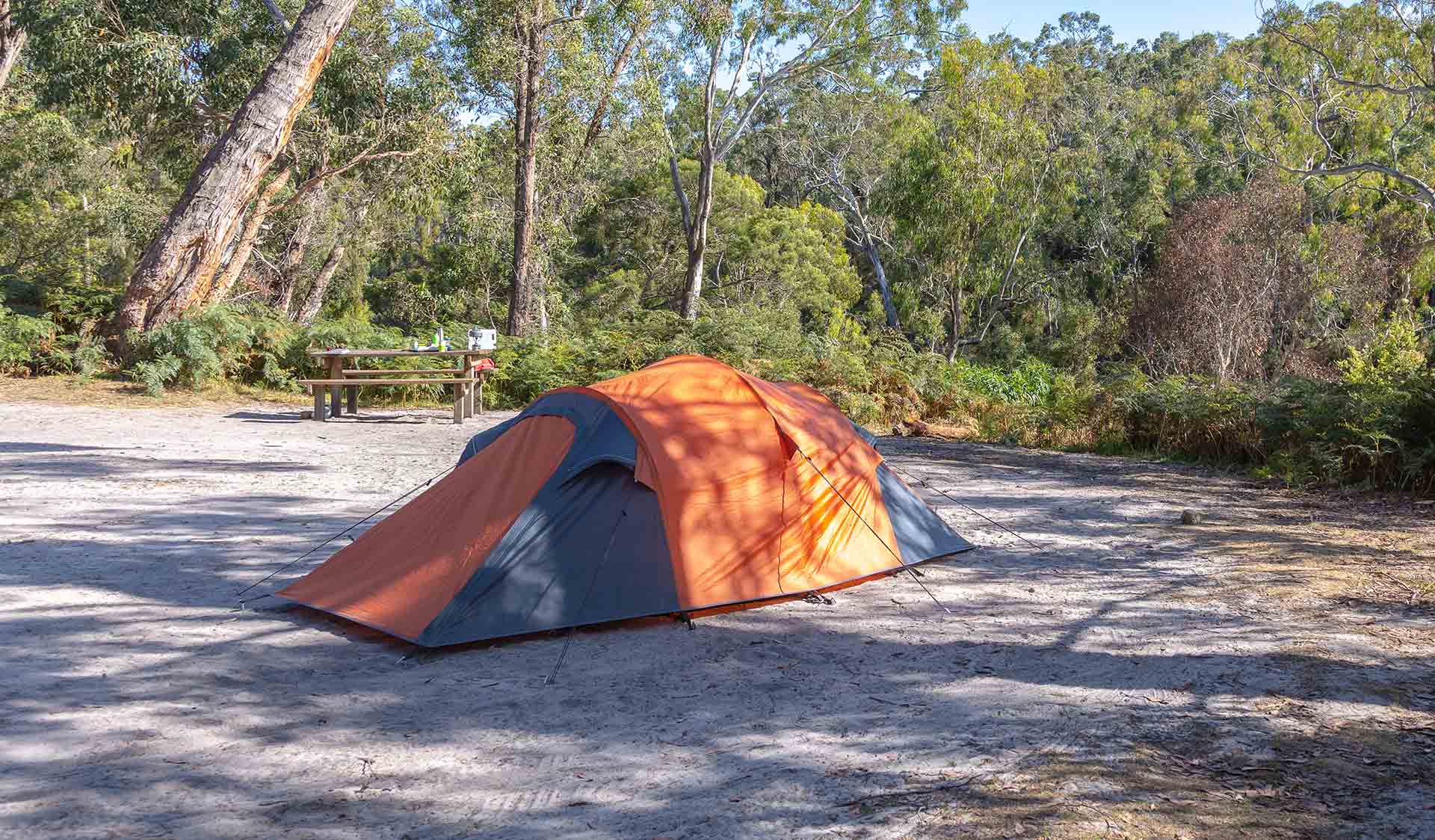 An orange tent in a sandy clearing at Wild Dog Bend Campground at Lower Glenelg National Park