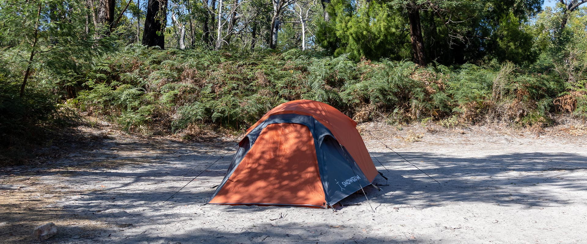An orange and grey dome tent set up on a sandy patch in front of a bracken undergrowth. 
