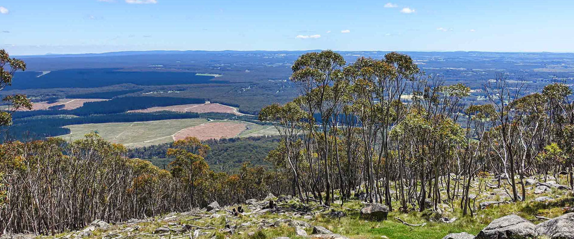Summit views from a rugged bushland towards lush trees and farmland