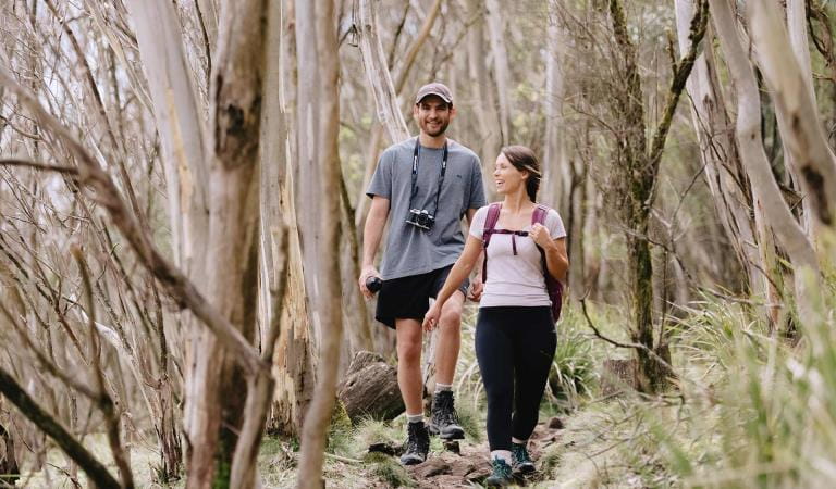 A couple walk through the Macedon Regional Park