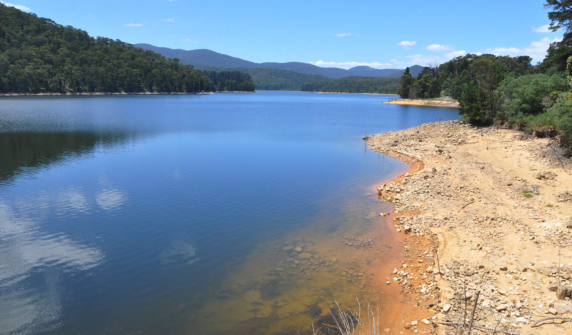 The view from the water's edge at the Maroondah Reservoir.