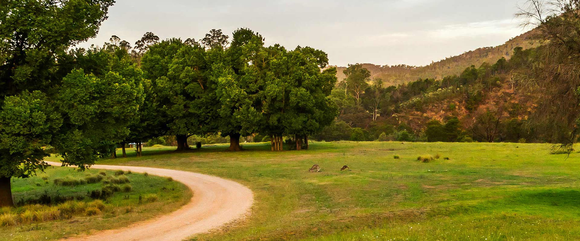 An open green grassland surrounded by hills and rugged bushland with kangaroos feeding on the grass