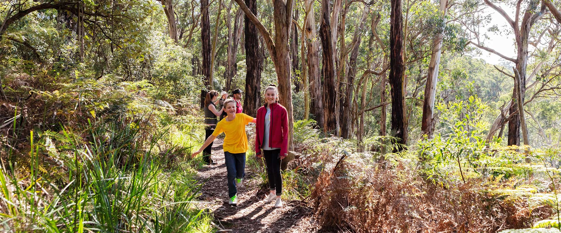 Two children walk along a walking track through coastal bushlands in front of their parents