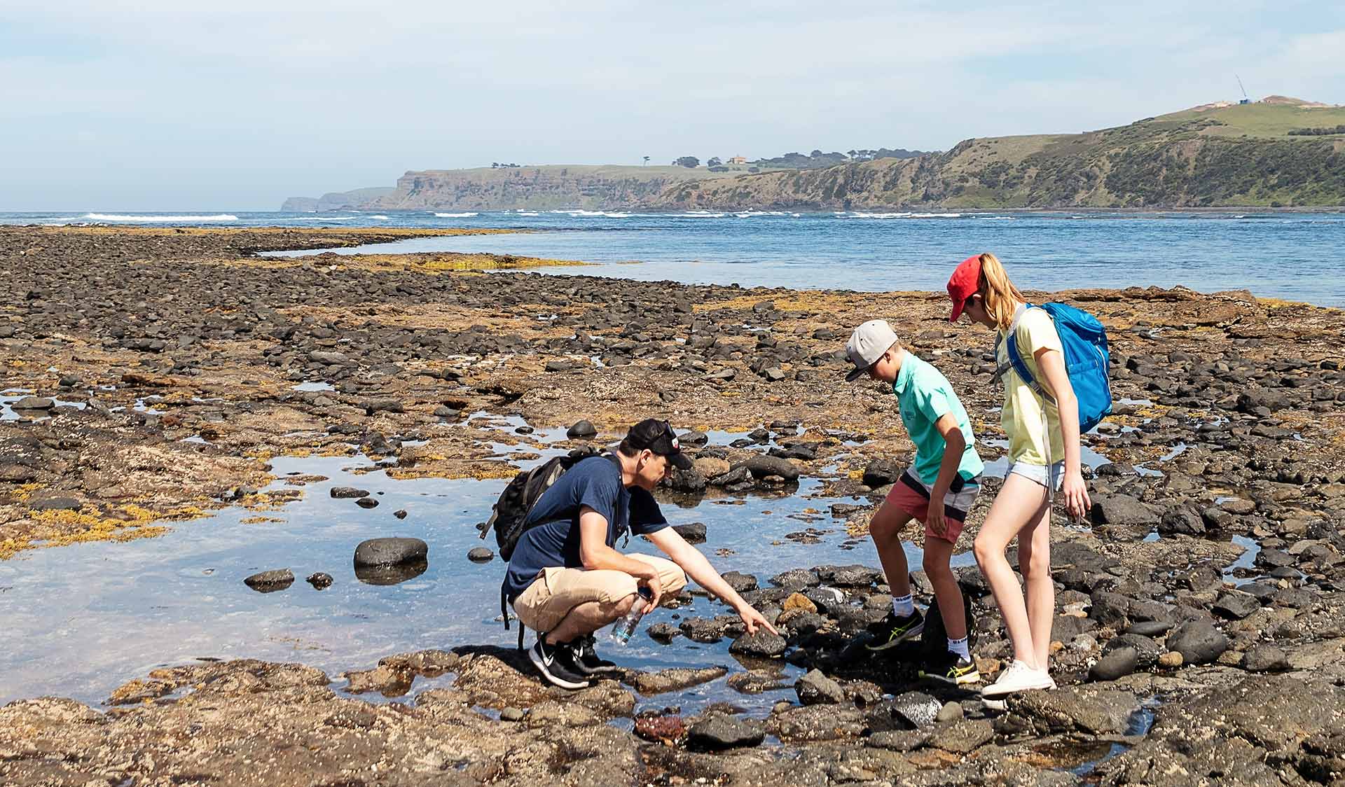 A man pointing at the rockpools with two children at Mushroom Reef