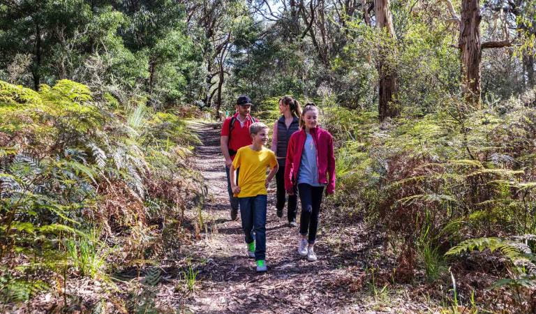 A family of four walking along a track at Baldrys Crossing in Mornington Peninsula National Park