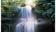 Water cascades down Fern Tree Falls in Mount Buangor State Park.