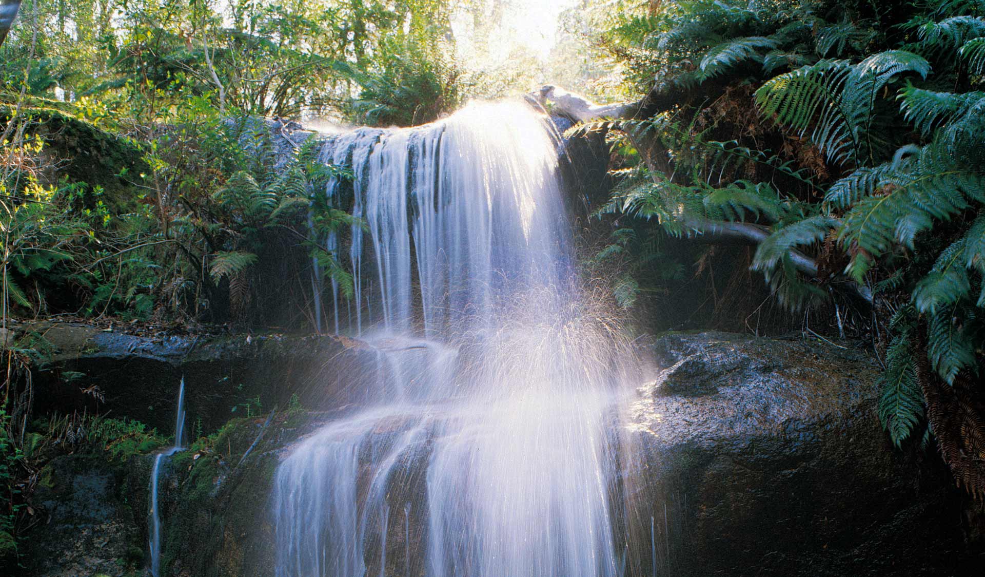 Water cascades down Fern Tree Falls in Mount Buangor State Park.