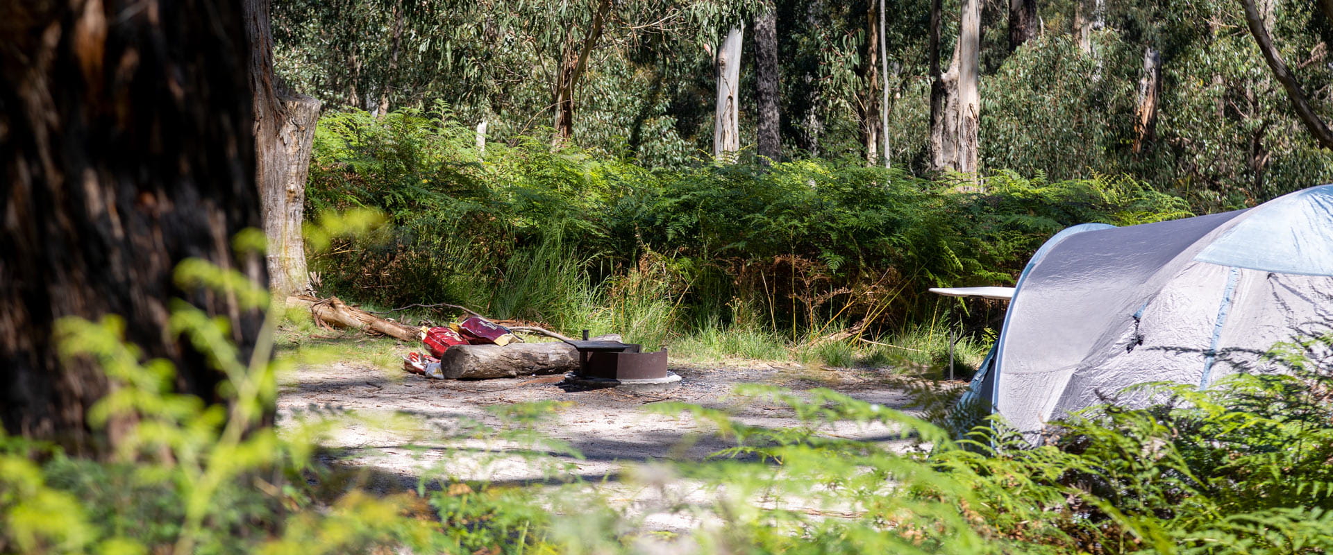 Firewood supplies sit by a large log bench near a campfire area next to a small pitched camping tent amongst trees and lush ferns.