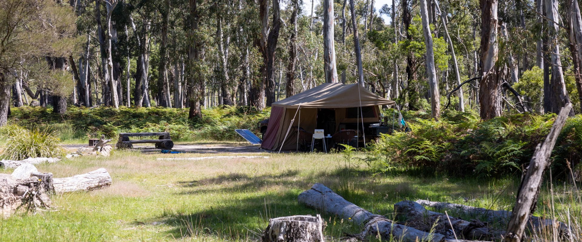 A large camping tent sits under the shade of tall trees surrounding a cleared grassy site with a rustic log picnic table and campfire.