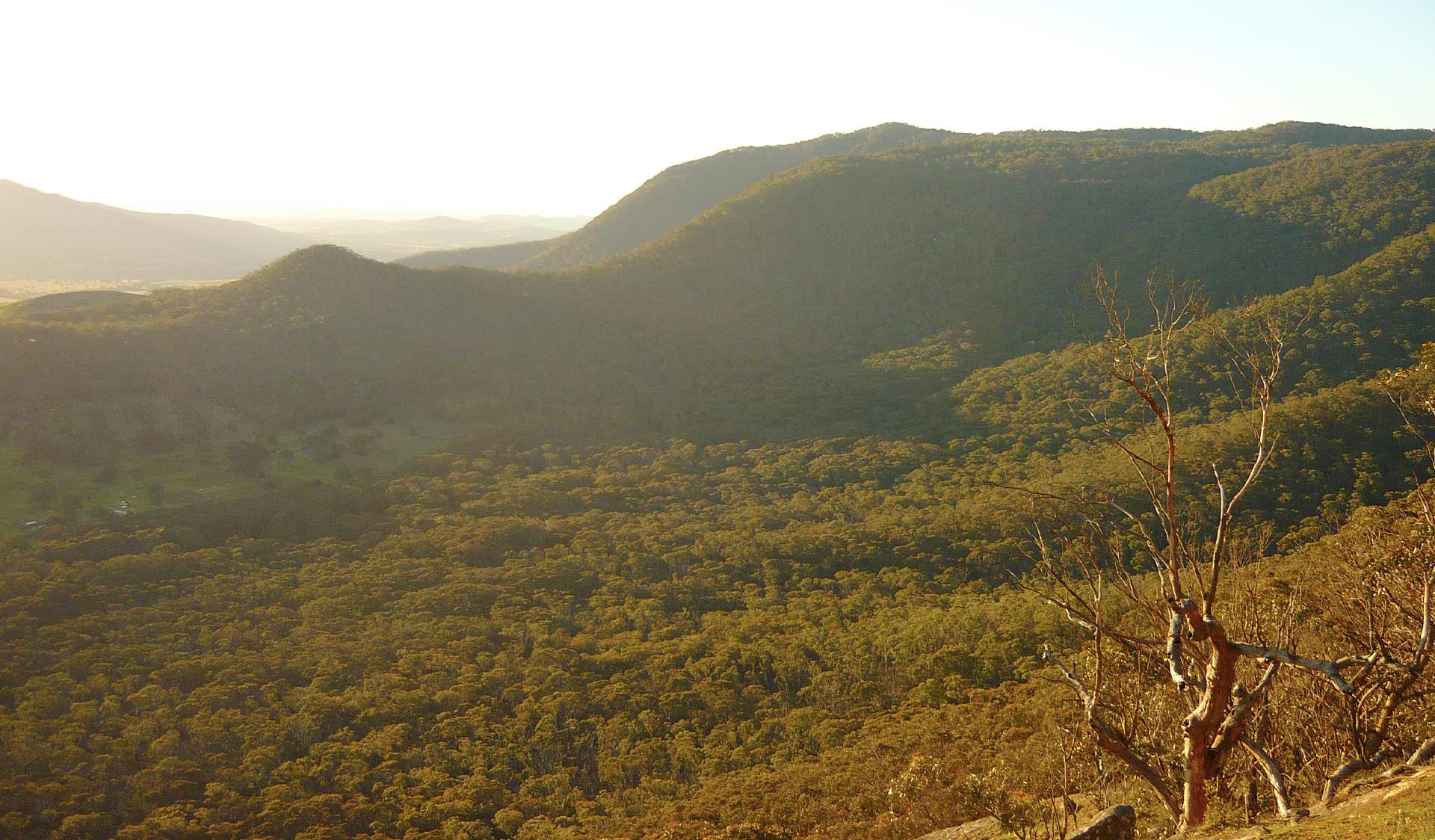 The view from Cave Hill at Mt Buangor State Park at dusk