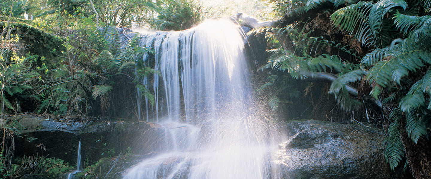 Sunlight shines through lush green trees and ferns onto a cascading waterfall flowing down three tiers of rocks with a misty glow.