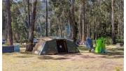 Tents set up at Bailes Camping Area at Mount Buangor State Park