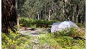 Campsite at Ferntree Camping Area at Mount Buangor State Park