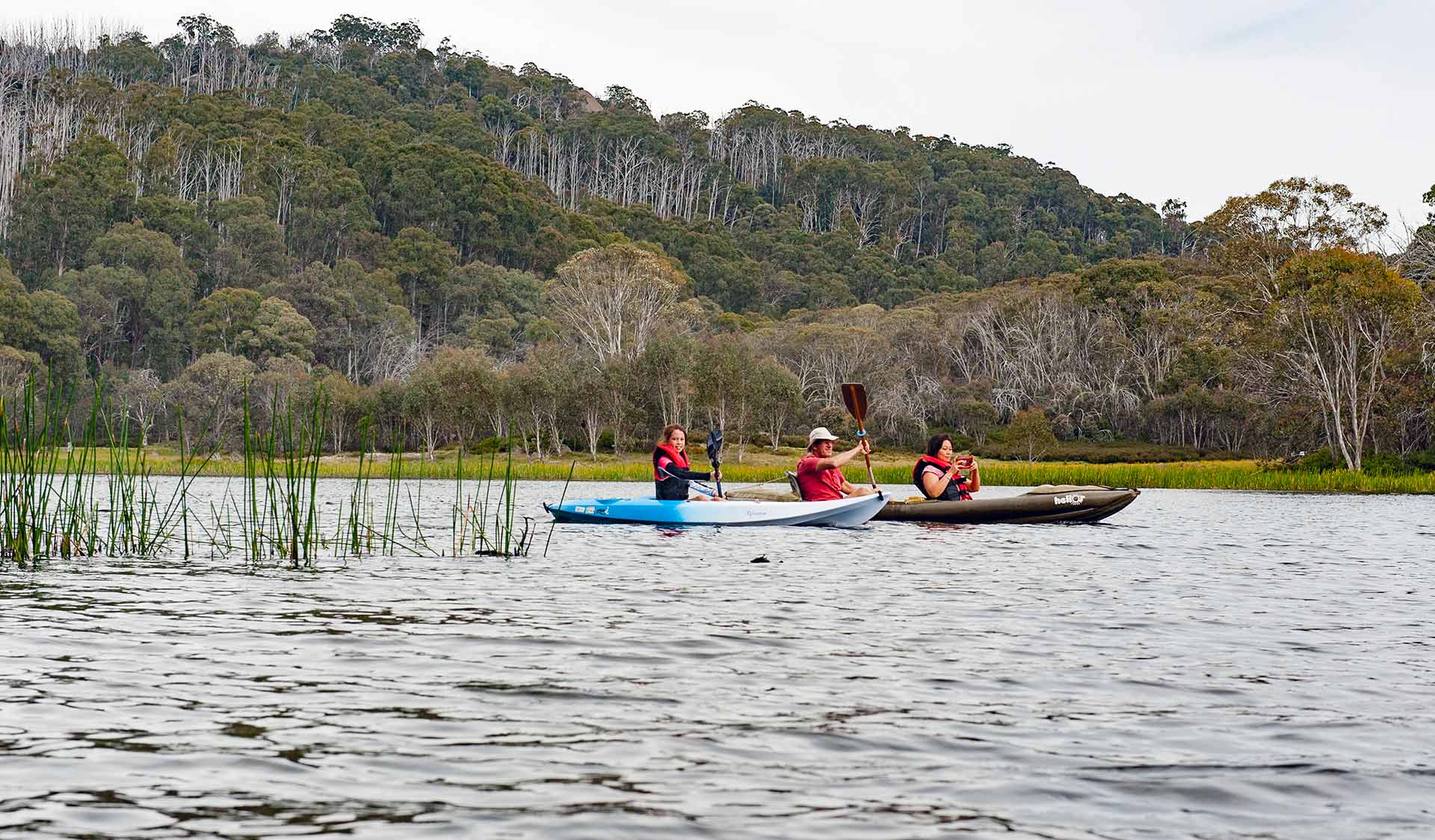 Three friends kayak across the waters of Mount Buffalo's Lake Catani. 