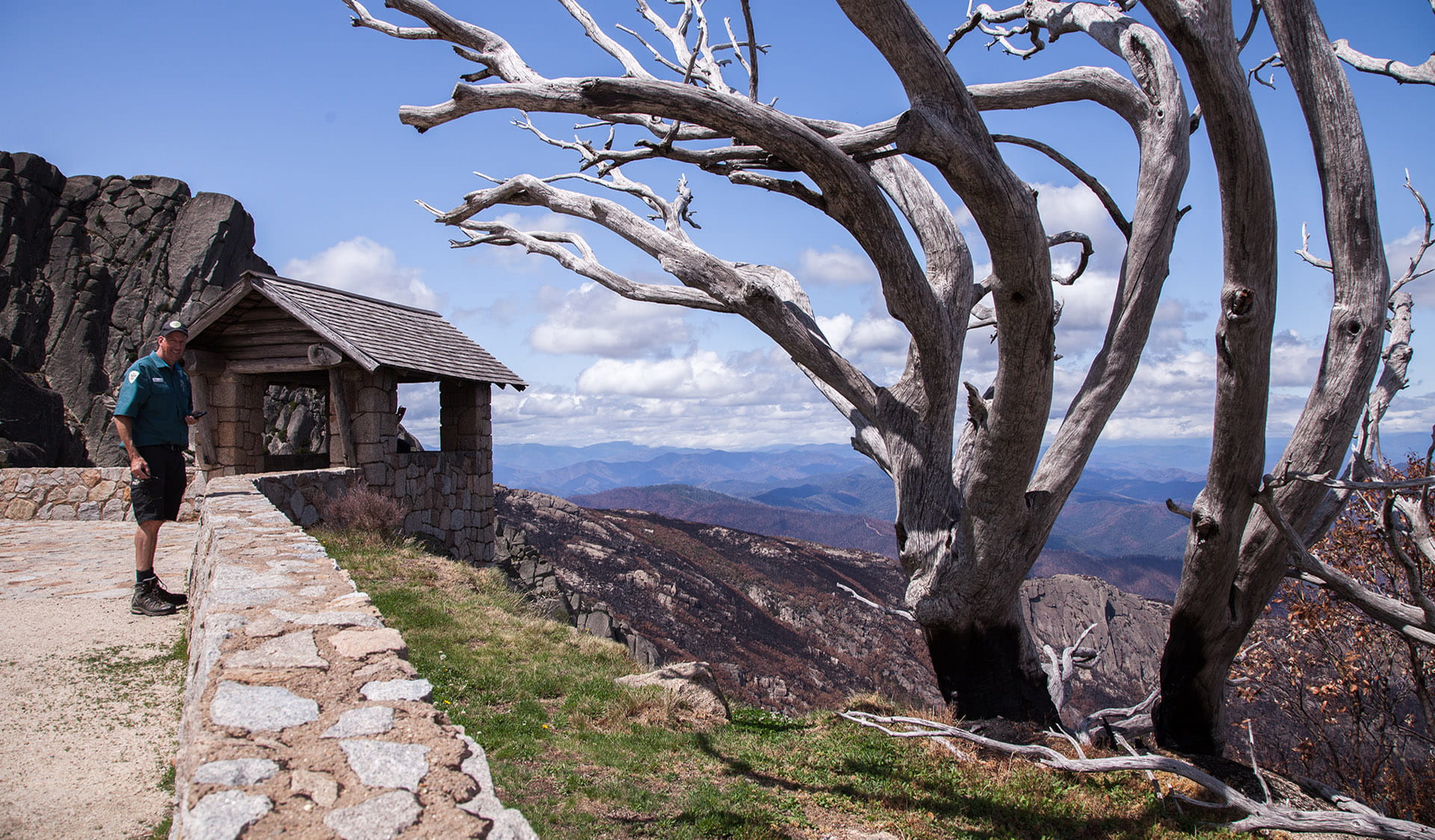 Parks Victoria Ranger standing at The Horn in Mount Buffalo National Park