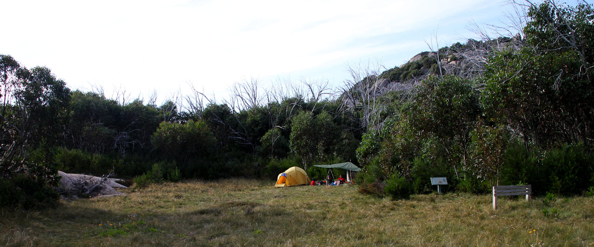 A yellow tent and tarp shelter is pitched in a clearing in front of some alpine shrubs
