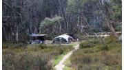 A path leads to tents at Lake Catani Campground at Mount Buffalo National Park 