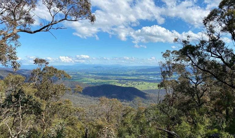 Scenic view of blue sky, trees and paddocks from Mount Samaria State Park