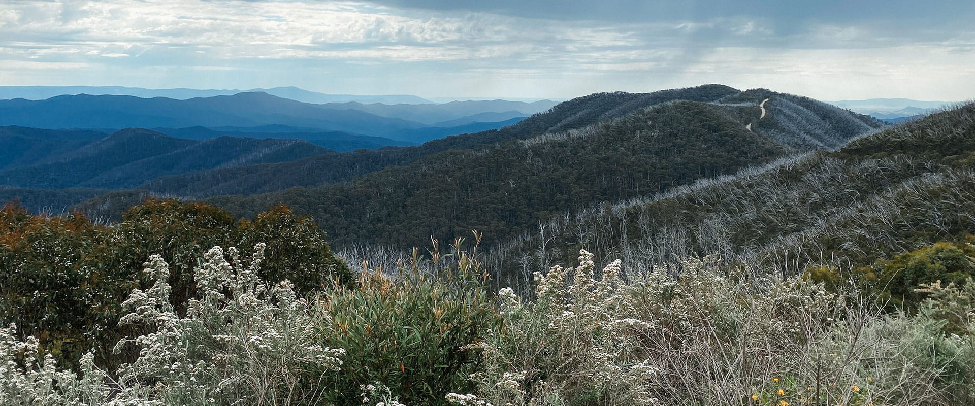 View from Mount Skene Natural Features and Scenic Reserve