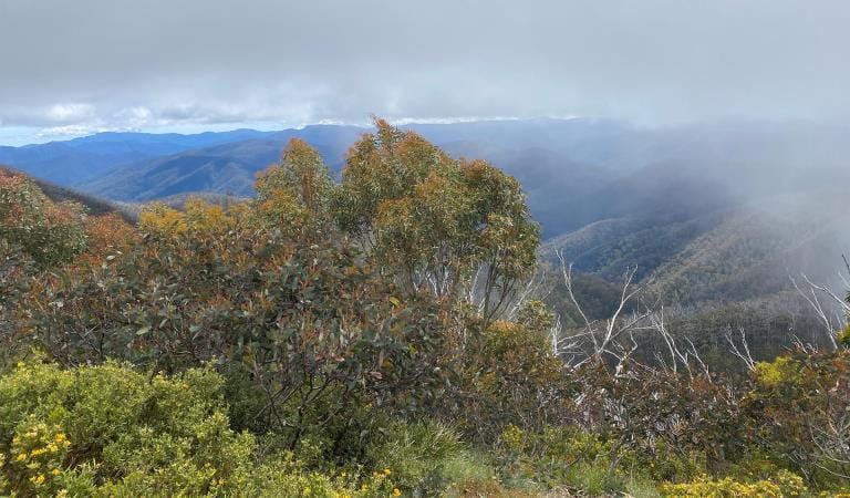 View from Mount Skene Natural Features and Scenic Reserve