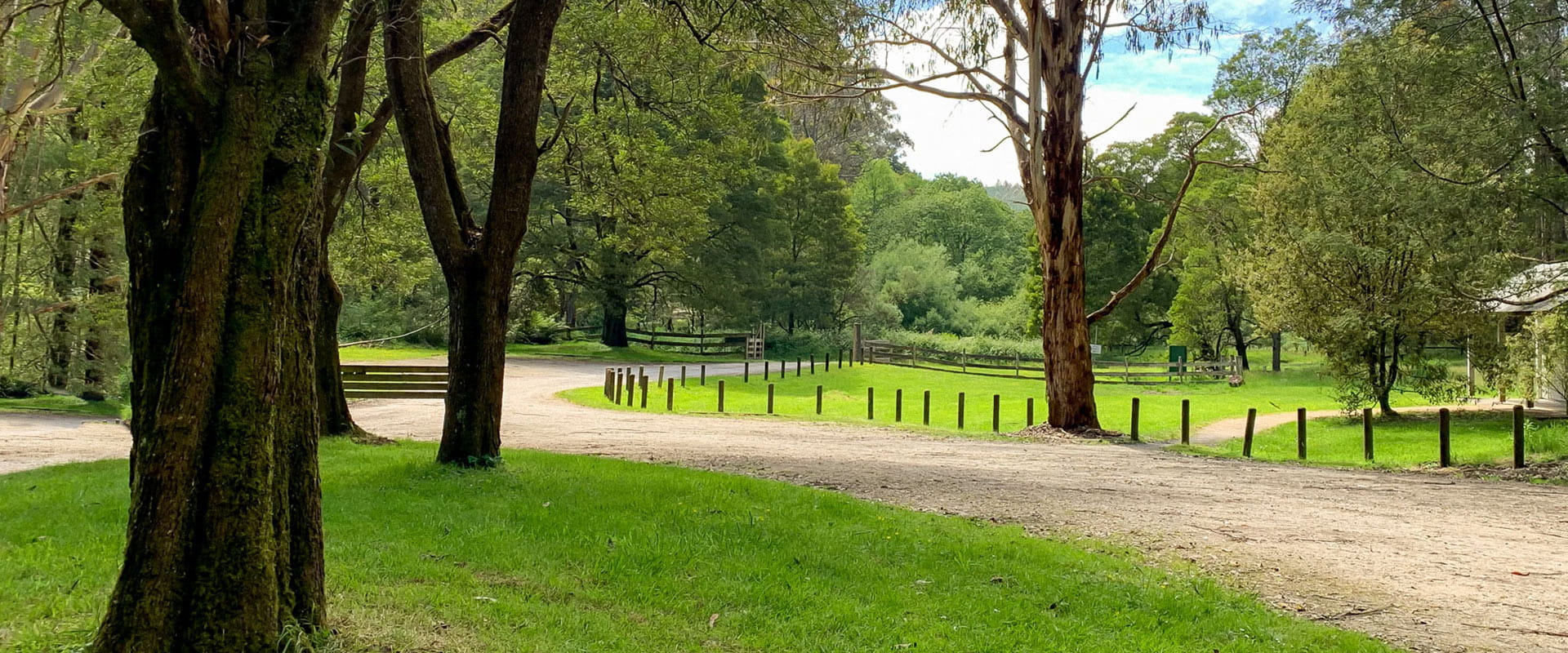  A grassy parkland with a gravel road and large trees