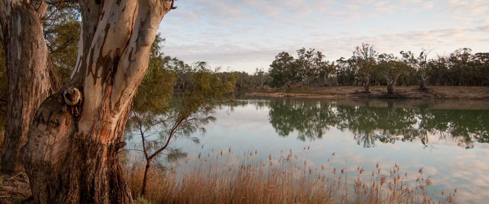 A serene river flows through rugged bushland, surrounded by native trees and grass.