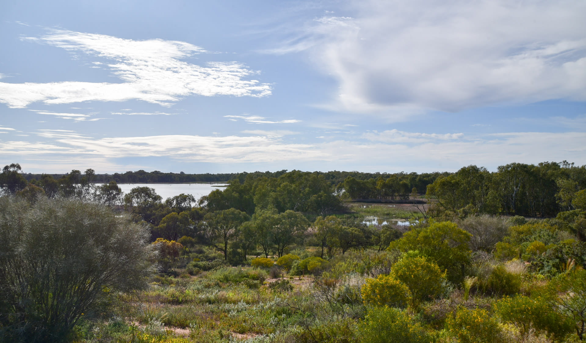 A body of water in the distance surrounded by trees