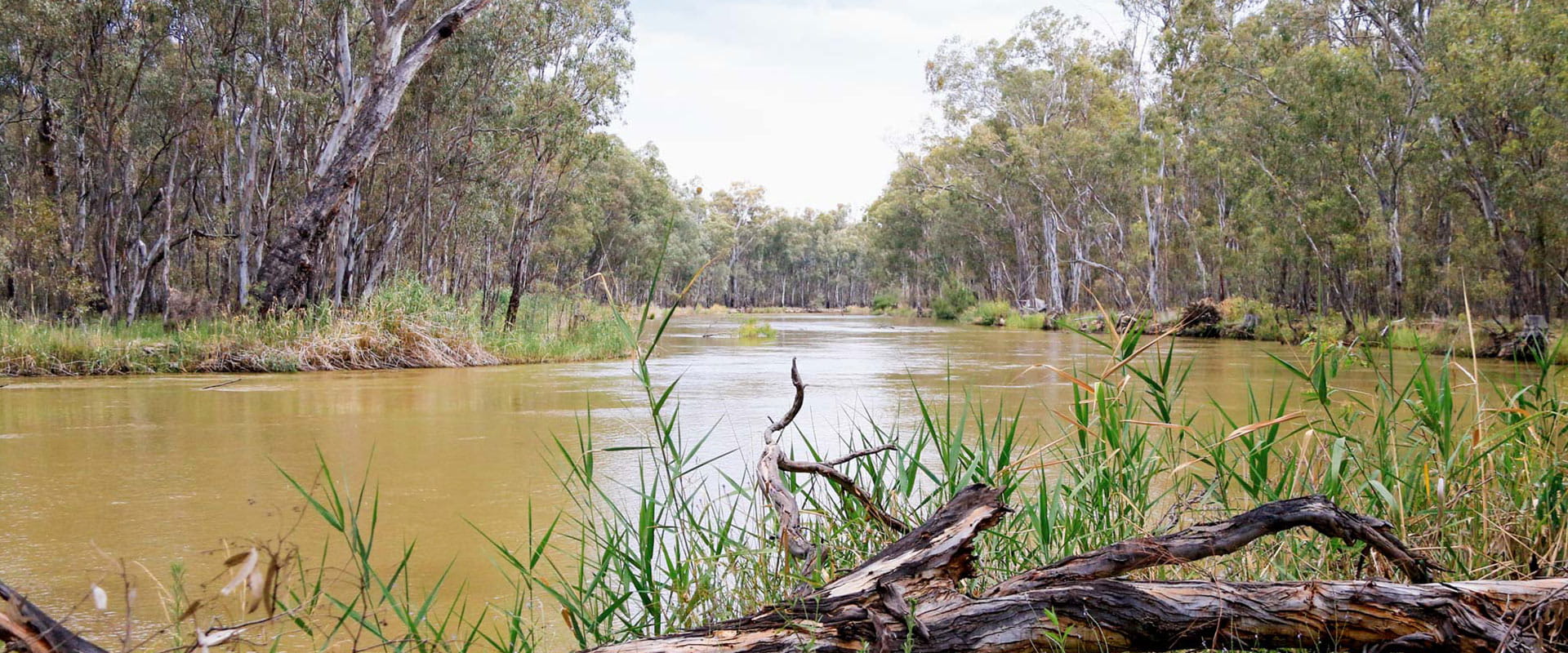 A full river flows amongst a rugged bushland