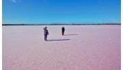 Two people walk across a dry pink salt lake.