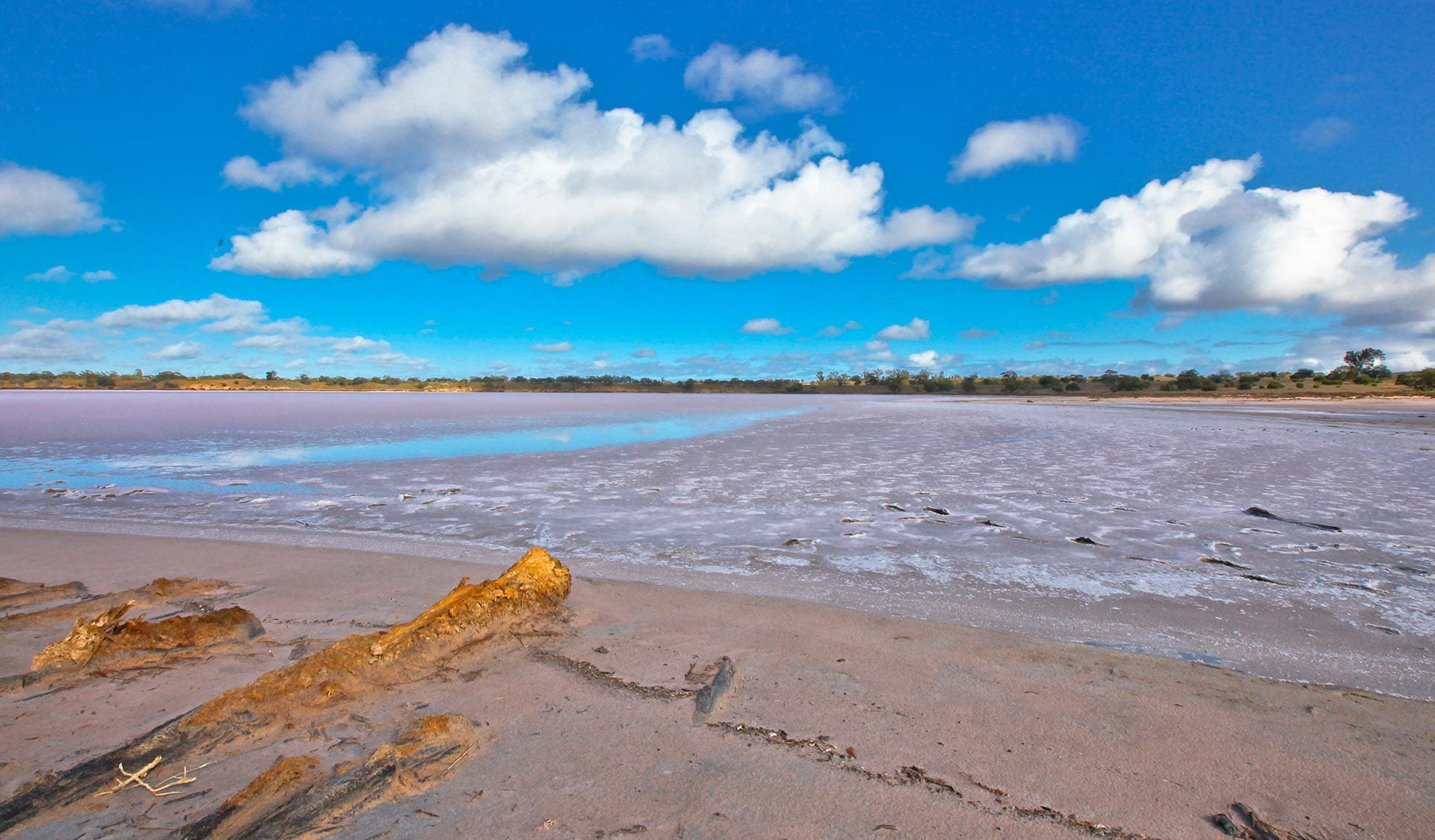 A pink salt lake.
