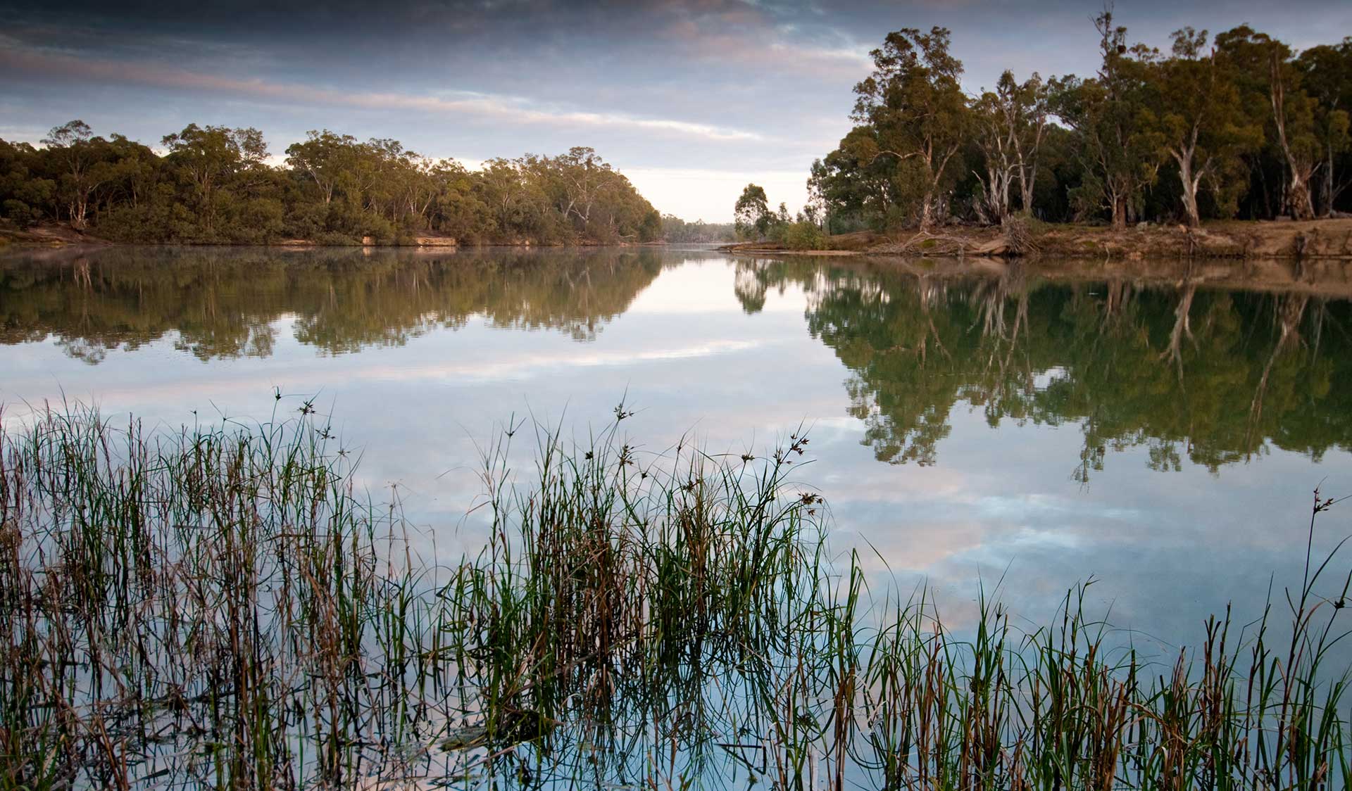 Wallpolla Island in the Murray Sunset National Park.