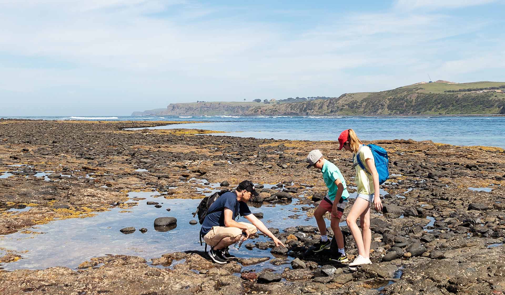 A father goes rockpooling with his two young children at Mushroom Reef.